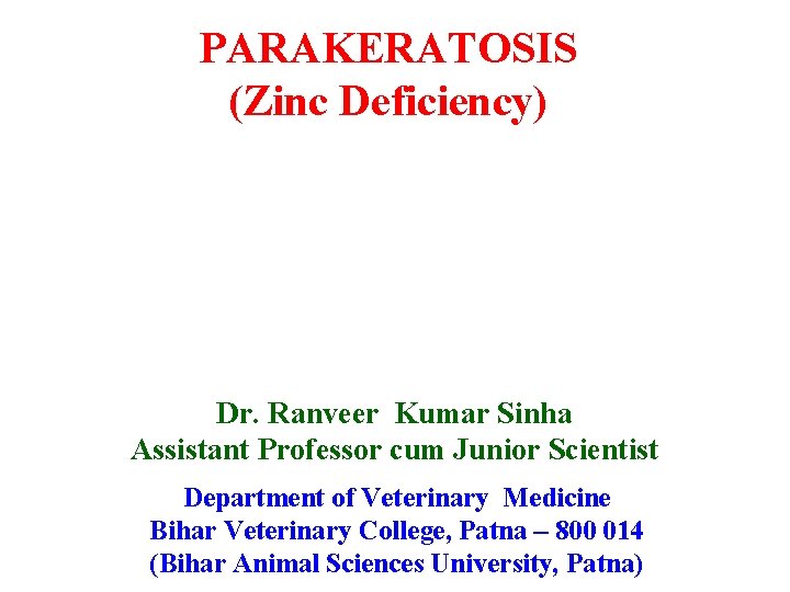 PARAKERATOSIS (Zinc Deficiency) Dr. Ranveer Kumar Sinha Assistant Professor cum Junior Scientist Department of