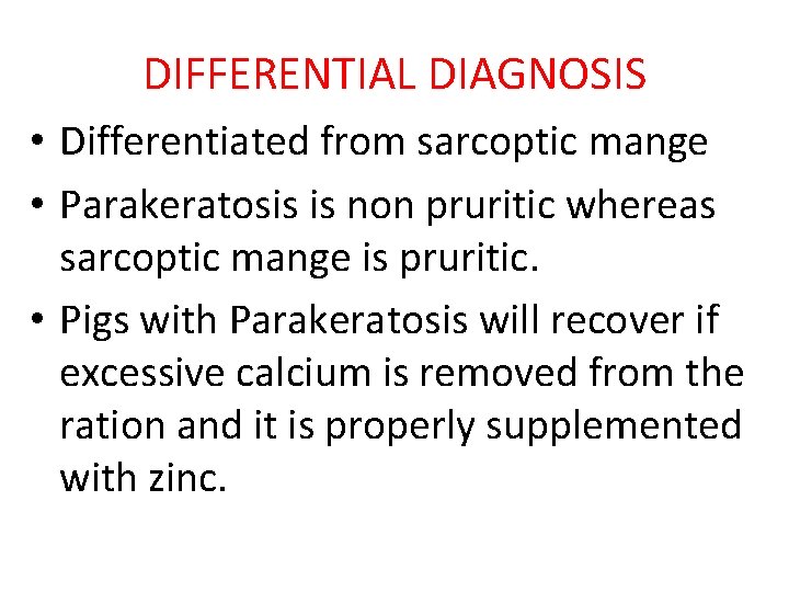 DIFFERENTIAL DIAGNOSIS • Differentiated from sarcoptic mange • Parakeratosis is non pruritic whereas sarcoptic