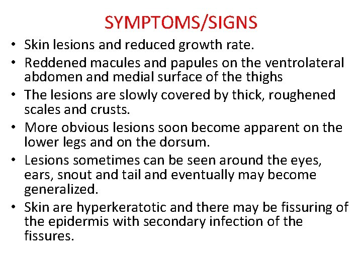 SYMPTOMS/SIGNS • Skin lesions and reduced growth rate. • Reddened macules and papules on