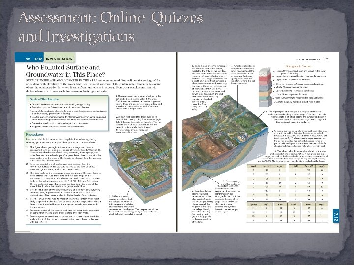 Assessment: Online Quizzes and Investigations 