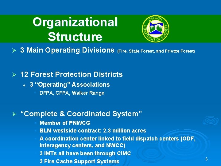 Organizational Structure Ø 3 Main Operating Divisions (Fire, State Forest, and Private Forest) Ø