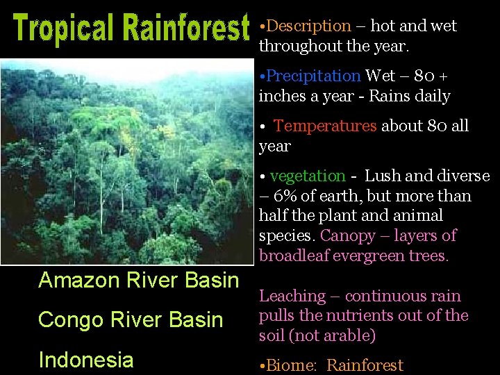  • Description – hot and wet throughout the year. • Precipitation Wet –