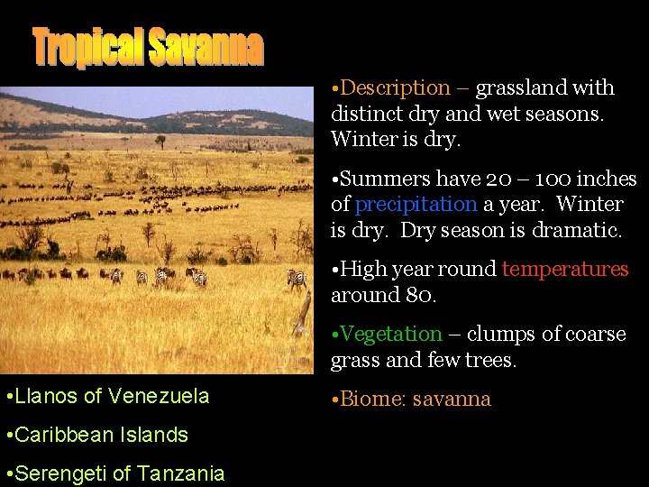  • Description – grassland with distinct dry and wet seasons. Winter is dry.