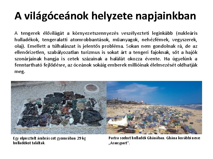 A világóceánok helyzete napjainkban A tengerek élővilágát a környezetszennyezés veszélyezteti leginkább (nukleáris hulladékok, tengeralatti