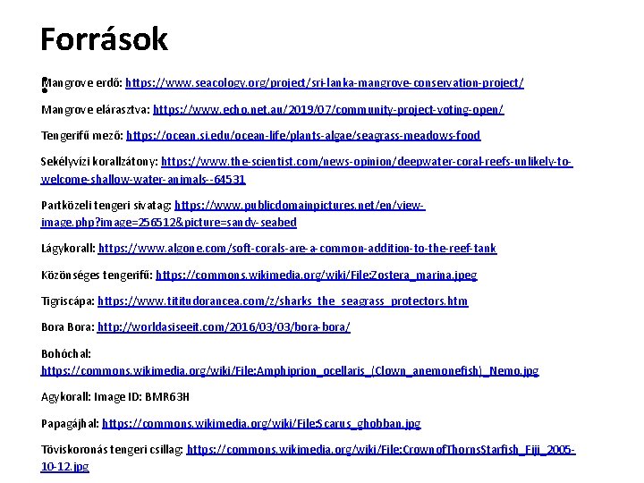 Források : Mangrove erdő: https: //www. seacology. org/project/sri-lanka-mangrove-conservation-project/ Mangrove elárasztva: https: //www. echo. net.