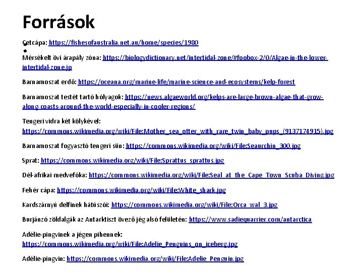 Források : Cetcápa: https: //fishesofaustralia. net. au/home/species/1980 Mérsékelt övi árapály zóna: https: //biologydictionary. net/intertidal-zone/#foobox-2/0/Algae-in-the-lowerintertidal-zone.