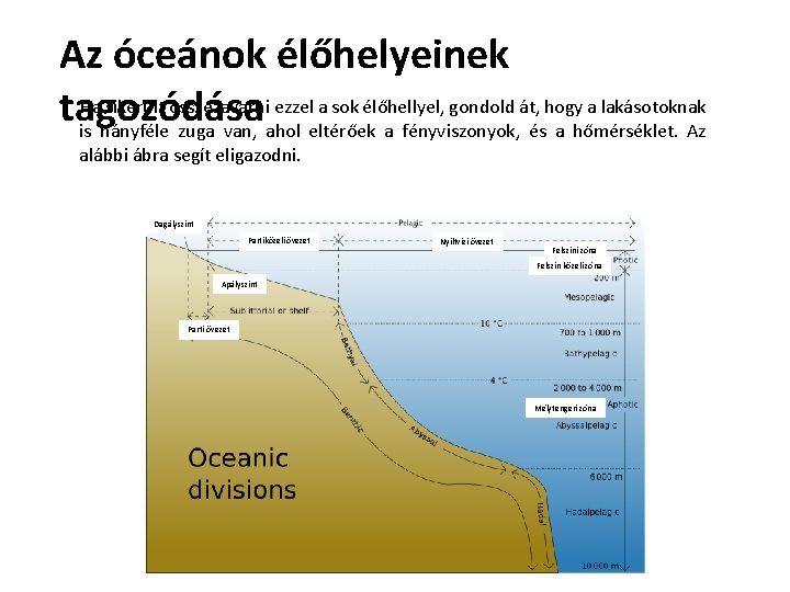 Az óceánok élőhelyeinek Ha sikerült összezavarni ezzel a sok élőhellyel, gondold át, hogy a