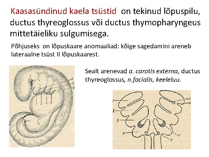 Kaasasündinud kaela tsüstid on tekinud lõpuspilu, ductus thyreoglossus või ductus thymopharyngeus mittetäieliku sulgumisega. Põhjuseks