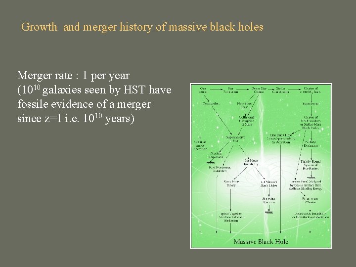 Growth and merger history of massive black holes Merger rate : 1 per year