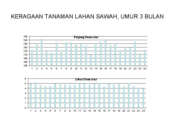 KERAGAAN TANAMAN LAHAN SAWAH, UMUR 3 BULAN 195 Panjang Daun (cm) 190 185 180