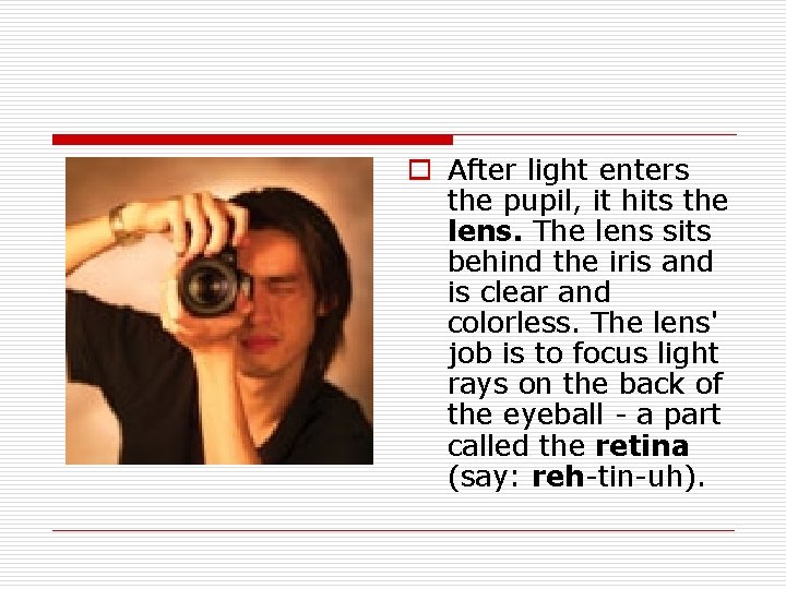 o After light enters the pupil, it hits the lens. The lens sits behind o After light enters the pupil, it hits the lens. The lens sits behind