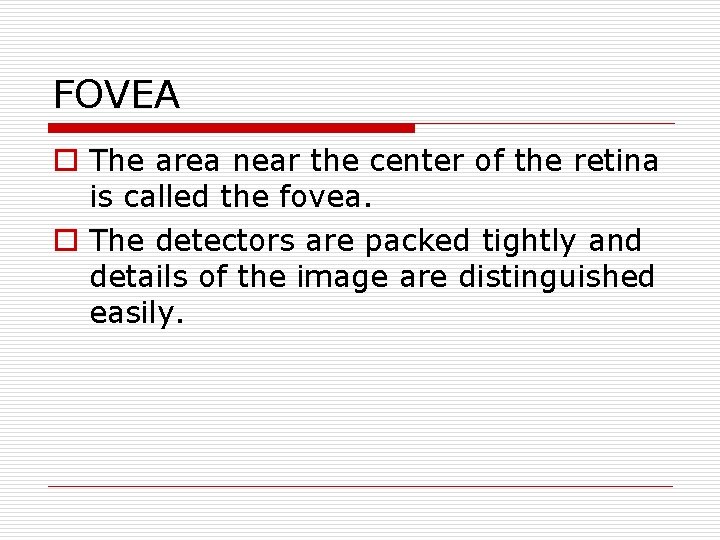 FOVEA o The area near the center of the retina is called the fovea. FOVEA o The area near the center of the retina is called the fovea.