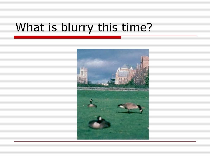 What is blurry this time? What is blurry this time?