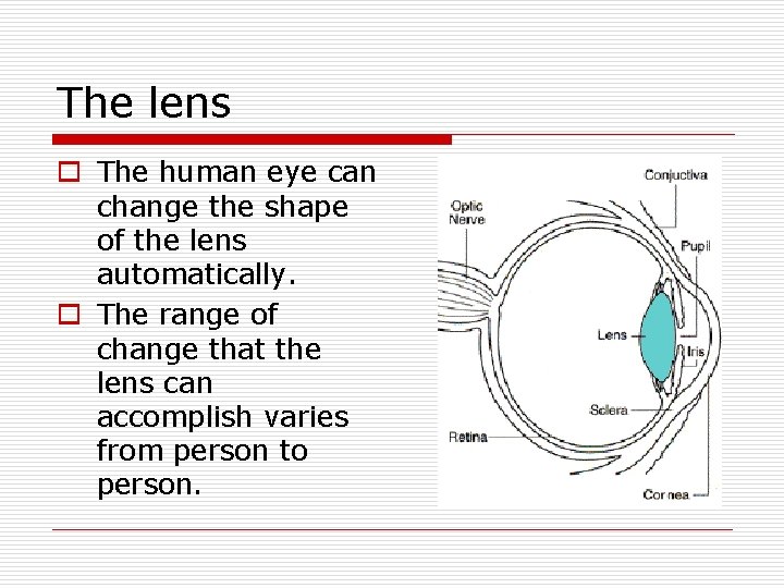 The lens o The human eye can change the shape of the lens automatically. The lens o The human eye can change the shape of the lens automatically.