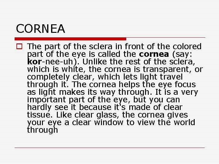 CORNEA o The part of the sclera in front of the colored part of CORNEA o The part of the sclera in front of the colored part of