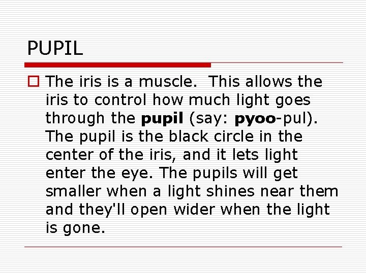 PUPIL o The iris is a muscle. This allows the iris to control how PUPIL o The iris is a muscle. This allows the iris to control how