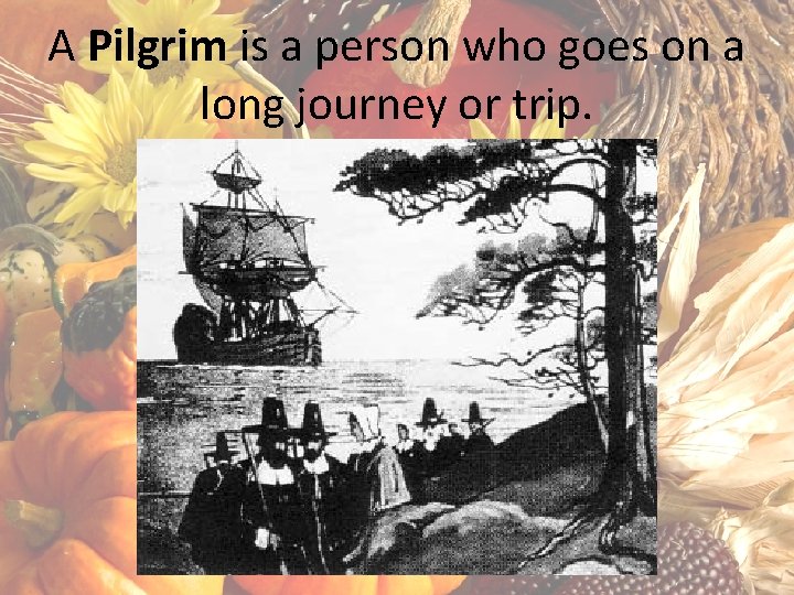 A Pilgrim is a person who goes on a long journey or trip. 