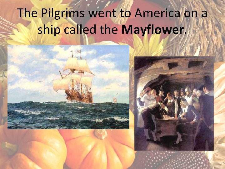 The Pilgrims went to America on a ship called the Mayflower. 