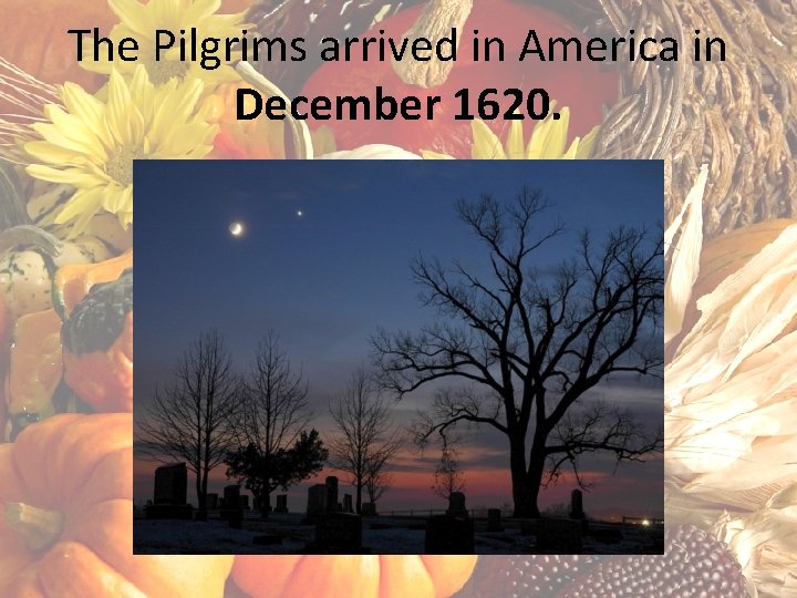 The Pilgrims arrived in America in December 1620. 