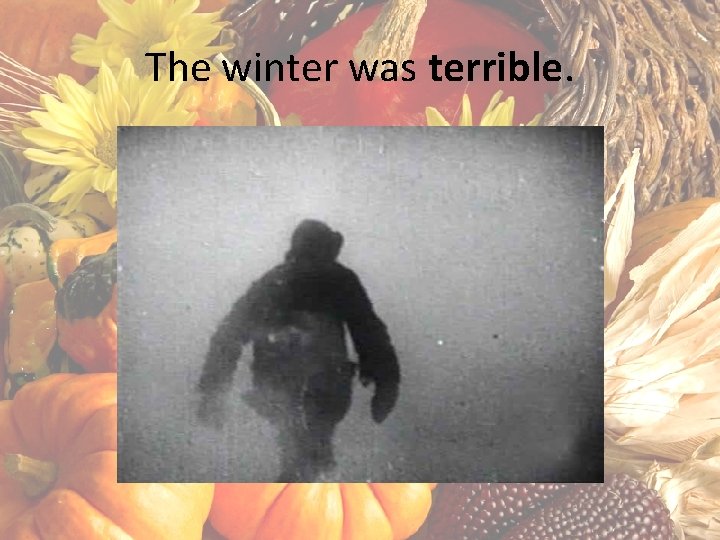 The winter was terrible. 