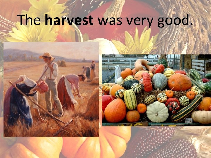 The harvest was very good. 