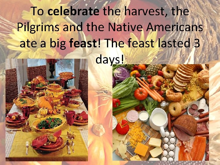 To celebrate the harvest, the Pilgrims and the Native Americans ate a big feast!