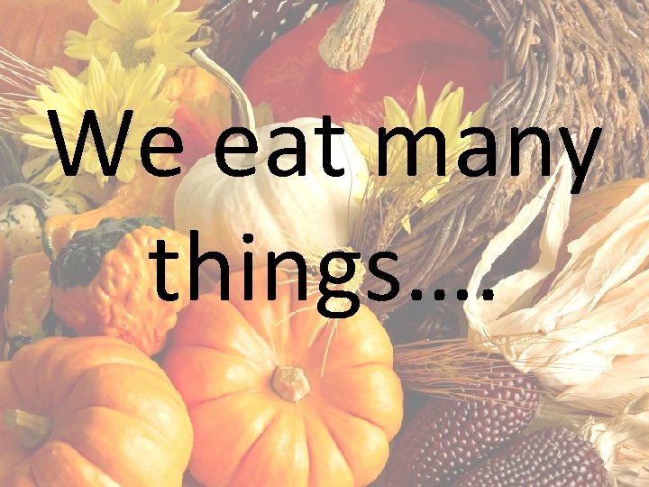 We eat many things…. 