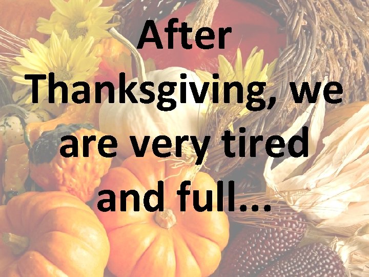 After Thanksgiving, we are very tired and full. . . 