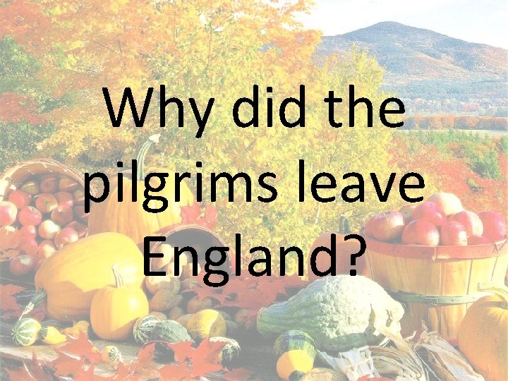 Why did the pilgrims leave England? 