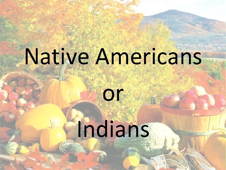 Native Americans or Indians 