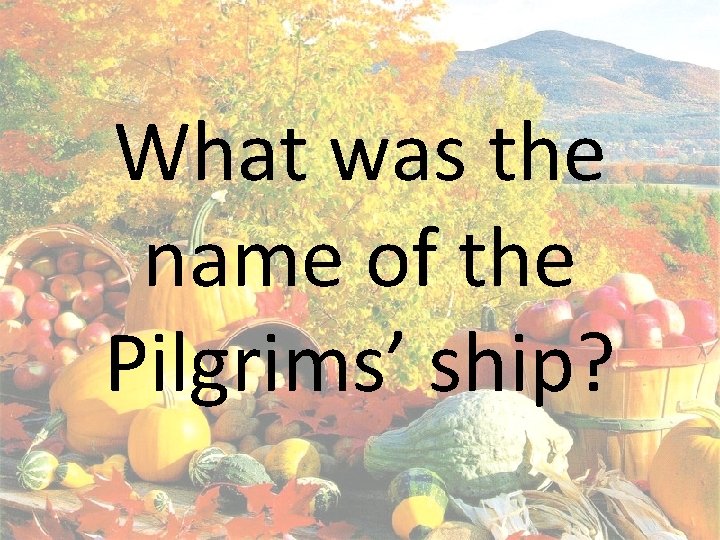 What was the name of the Pilgrims’ ship? 