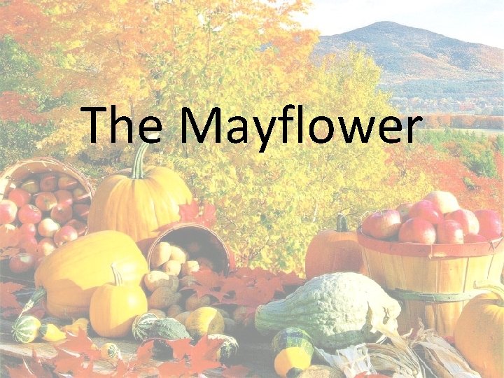 The Mayflower 