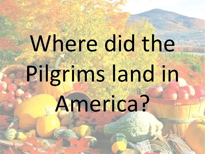 Where did the Pilgrims land in America? 