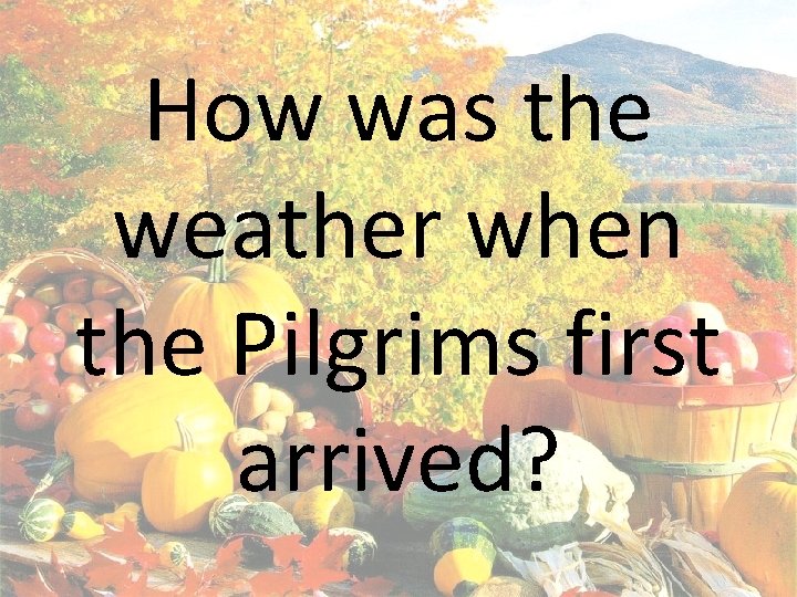 How was the weather when the Pilgrims first arrived? 