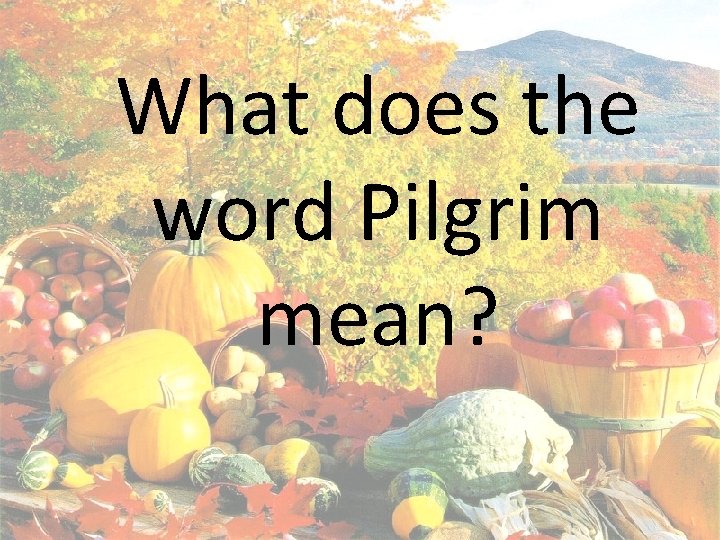 What does the word Pilgrim mean? 