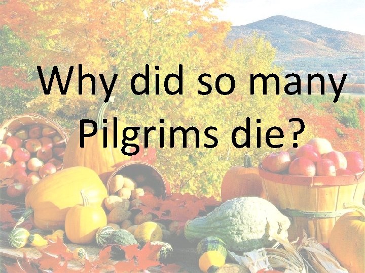 Why did so many Pilgrims die? 