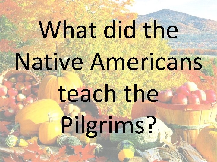 What did the Native Americans teach the Pilgrims? 