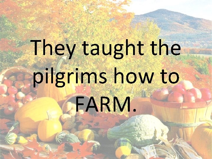 They taught the pilgrims how to FARM. 