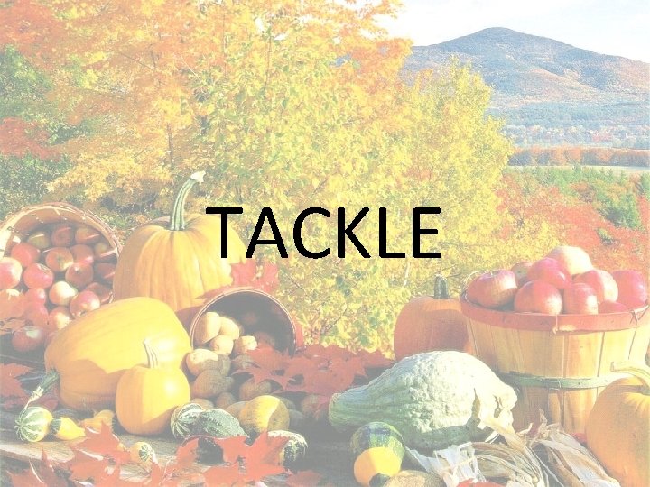 TACKLE 