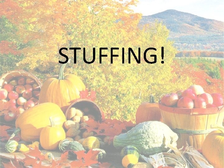 STUFFING! 