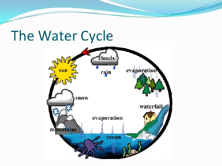 The Water Cycle 