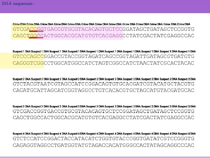 DNA sequences: 