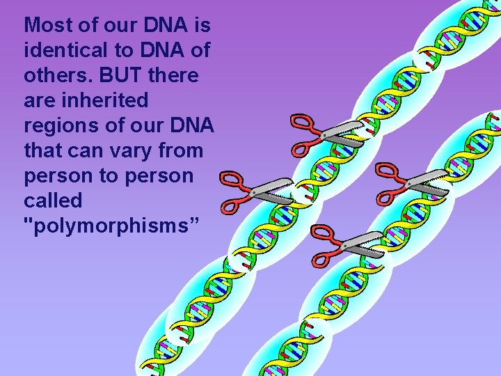 Most of our DNA is identical to DNA of others. BUT there are inherited