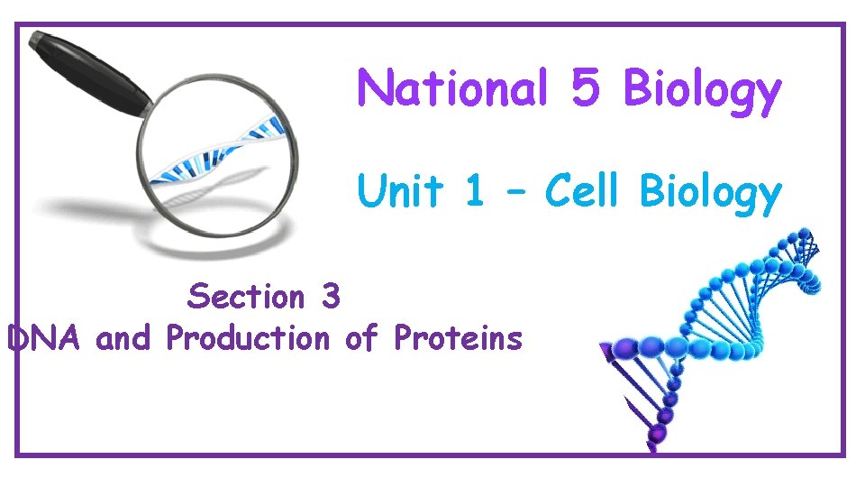 National 5 Biology Unit 1 – Cell Biology Section 3 DNA and Production of