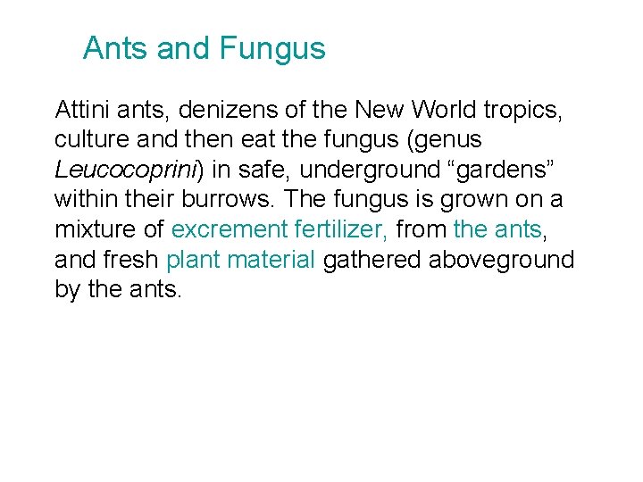Ants and Fungus Attini ants, denizens of the New World tropics, culture and then