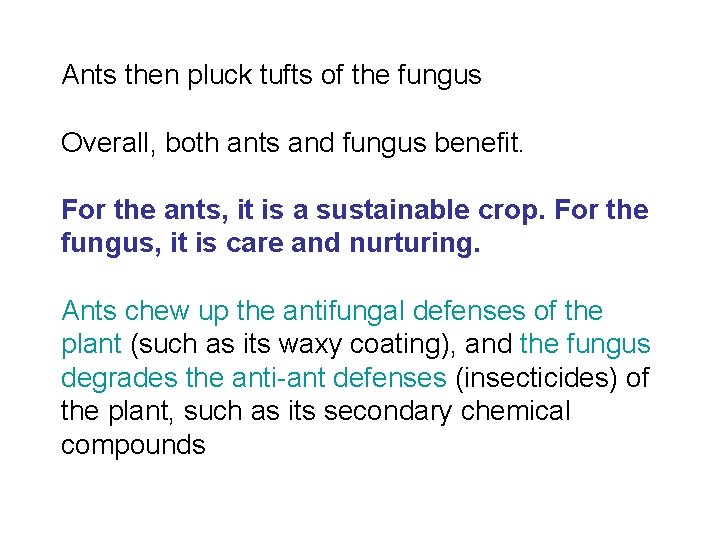 Ants then pluck tufts of the fungus Overall, both ants and fungus benefit. For