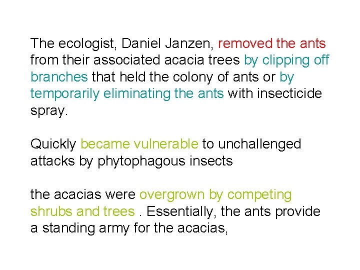 The ecologist, Daniel Janzen, removed the ants from their associated acacia trees by clipping