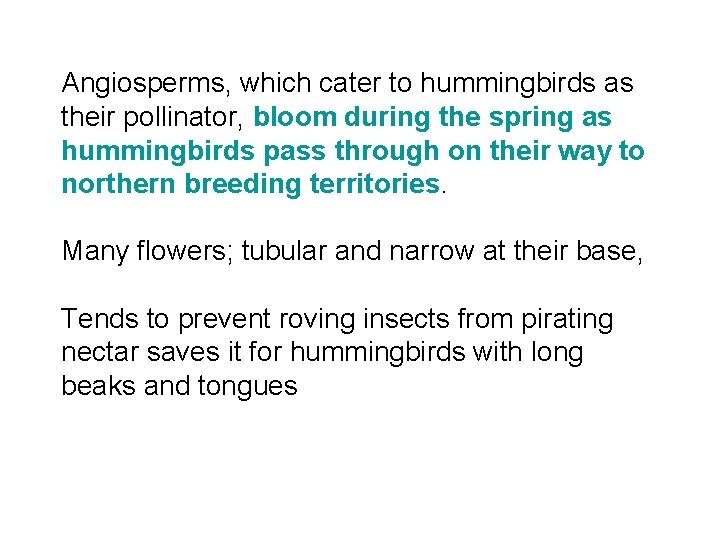 Angiosperms, which cater to hummingbirds as their pollinator, bloom during the spring as hummingbirds
