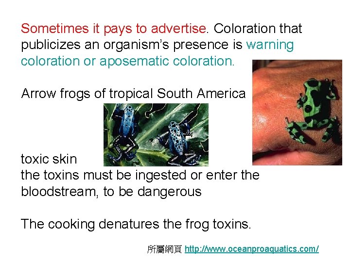 Sometimes it pays to advertise. Coloration that publicizes an organism’s presence is warning coloration