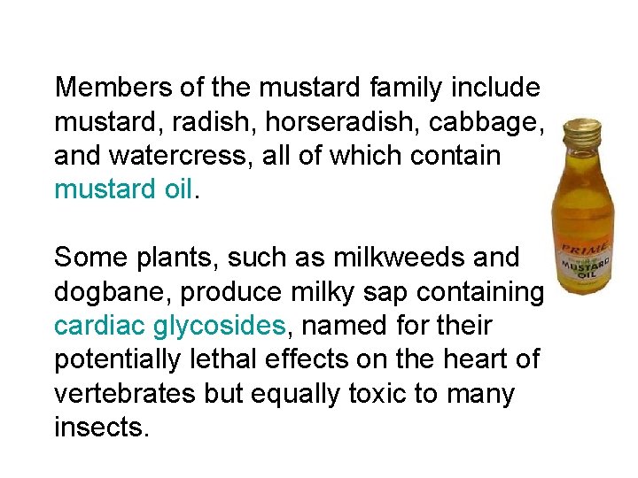 Members of the mustard family include mustard, radish, horseradish, cabbage, and watercress, all of